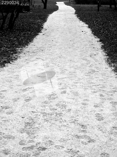 Image of park lane with footprint on the first snow