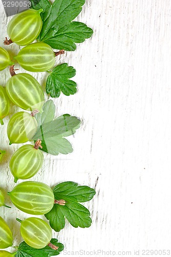 Image of gooseberries with leaves 