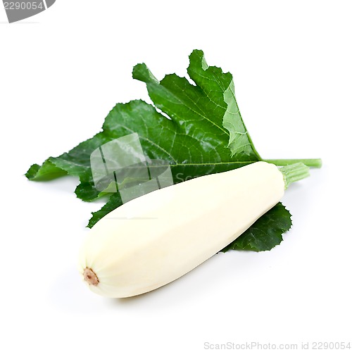 Image of fresh zucchini with green leaf