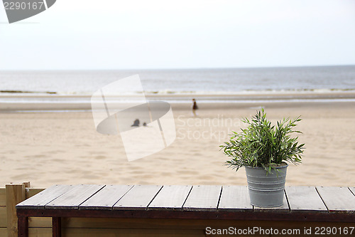 Image of North sea and flower pot
