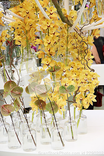 Image of Beautiful orchids in the vases 