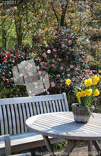 Image of Sunny terrace with a lot of flowers