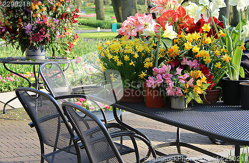 Image of Sunny terrace with a lot of flowers