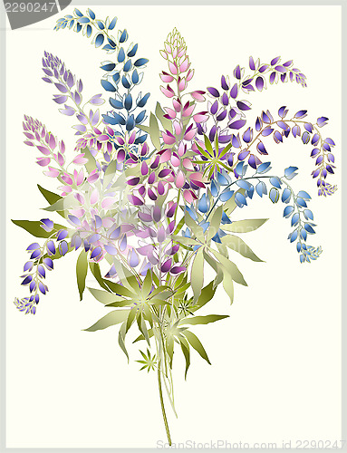 Image of Background from flower of the lupine . Bouquet from a lupine flo