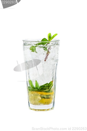 Image of Fresh mojito