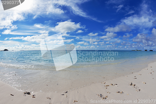 Image of tropical beach