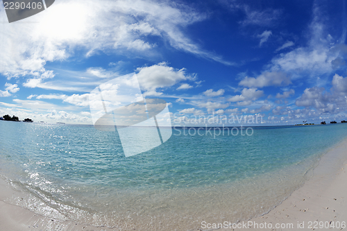 Image of tropical beach