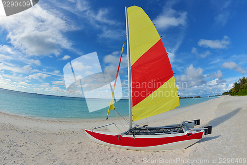 Image of tropical beach