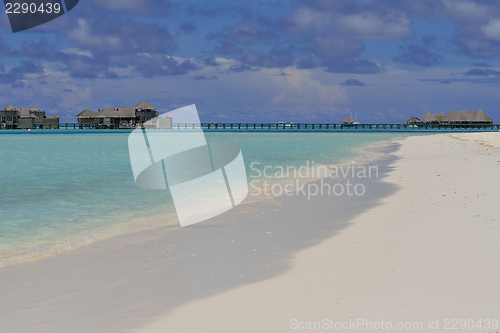 Image of happy woman enjoy  summer time