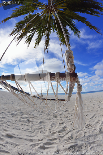 Image of tropical beach