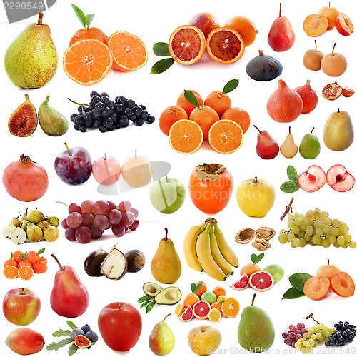 Image of group of fruits