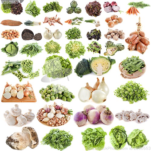 Image of group of vegetables