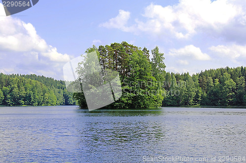 Image of Small Island on a Lake