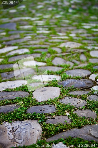 Image of cobbles with moss on a pavement