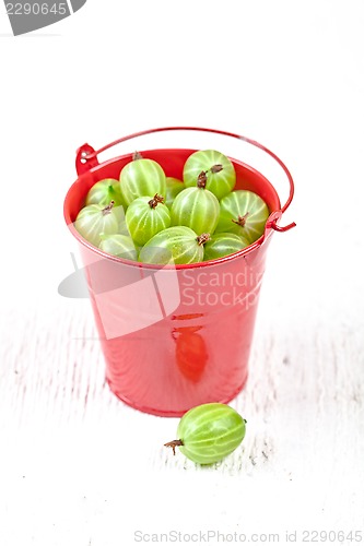 Image of green gooseberry in metal bucket 