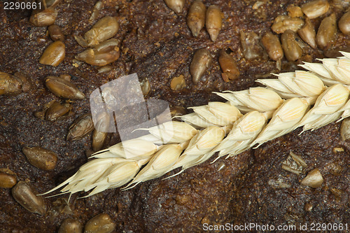 Image of Close up Bread and wheat cereal crops