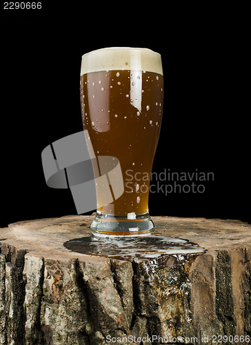 Image of Beer mug on stump