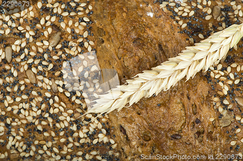 Image of Close up Bread and wheat cereal crops