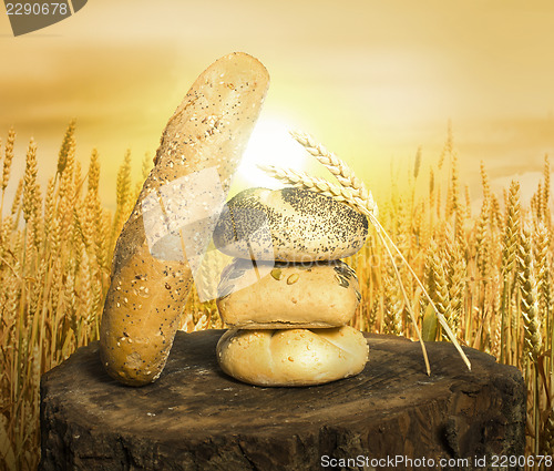 Image of Bread and wheat cereal crops.