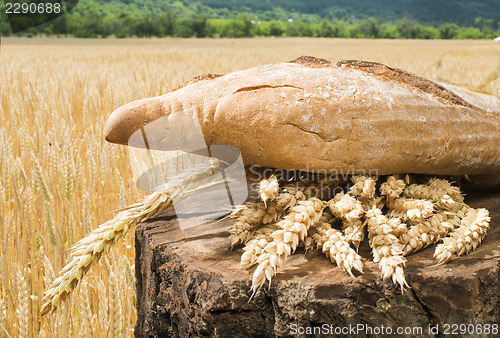 Image of Bread and wheat cereal crops.