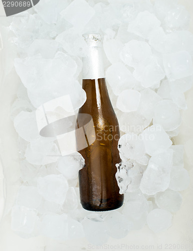 Image of Bottle of beer and ice cubes