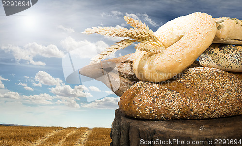 Image of Bread and wheat cereal crops