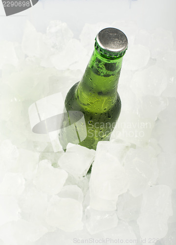 Image of Green Bottle of beer