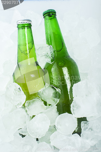 Image of Green Bottle of beer