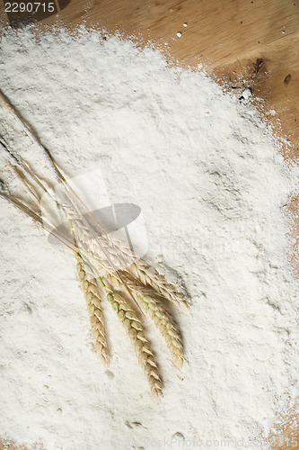 Image of Pile of flour and wheat