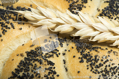 Image of Close up Bread and wheat cereal crops