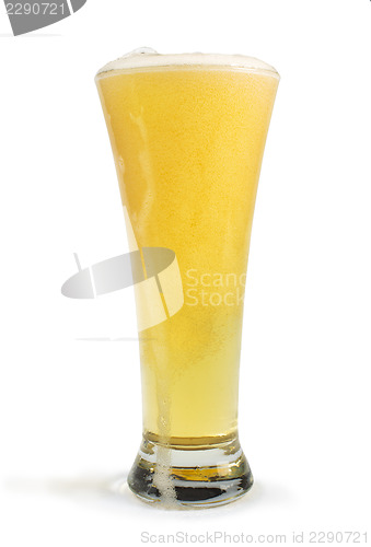 Image of Mug filled with beer