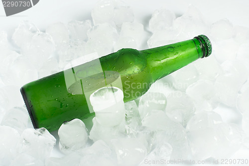 Image of Green Bottle of beer