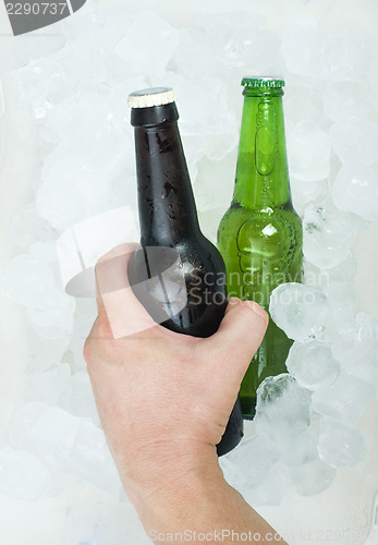 Image of Green Bottle of beer