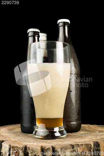 Image of Bottles of beer and beer mug on stump