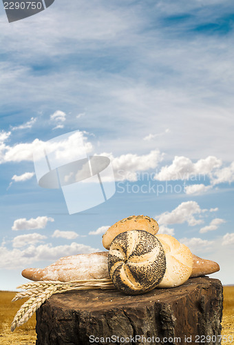 Image of Bread and wheat cereal crops.