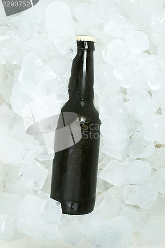 Image of Bottle of beer and ice cubes