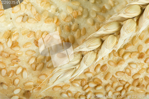 Image of Close up Bread and wheat cereal crops