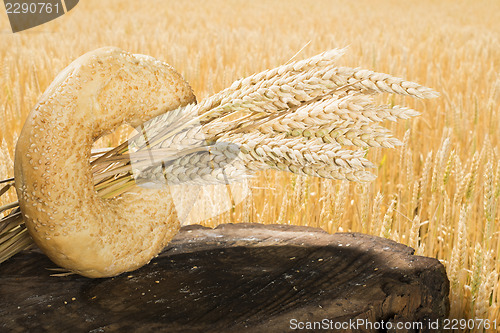Image of Bread and wheat cereal crops