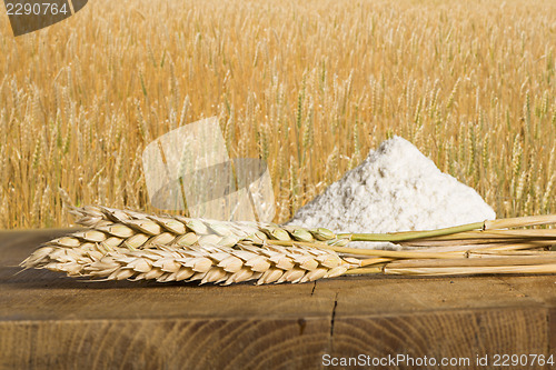 Image of Bread, flour and wheat cereal crops.