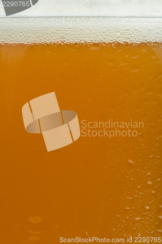 Image of Mug beer close up background