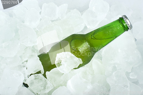 Image of Green Bottle of beer