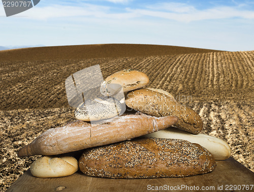 Image of Bread and wheat cereal crops. Plowed land