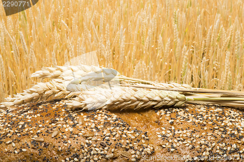Image of Bread and wheat cereal crops