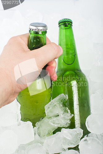 Image of Green Bottle of beer