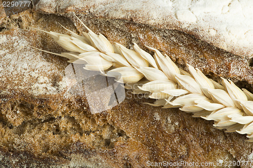 Image of Close up Bread and wheat cereal crops