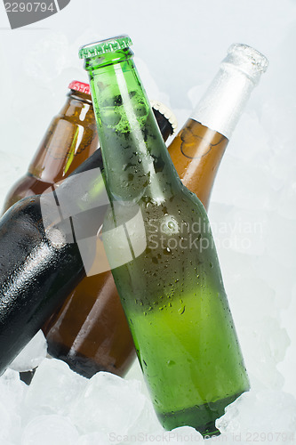 Image of Green Bottle of beer