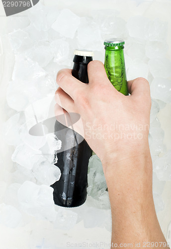 Image of Green Bottle of beer