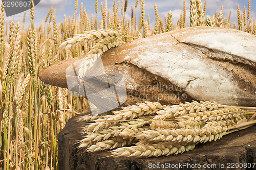 Image of Bread and wheat cereal crops.