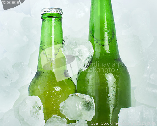 Image of Green Bottle of beer