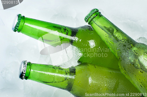 Image of Green Bottle of beer